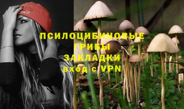 прущий лед Заводоуковск