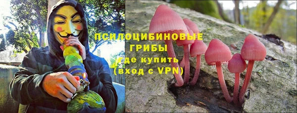 apvp Тобольск