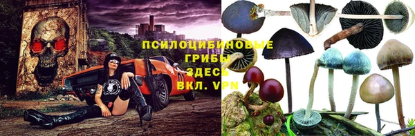 прущий лед Заводоуковск