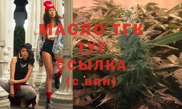 спайс Ельня