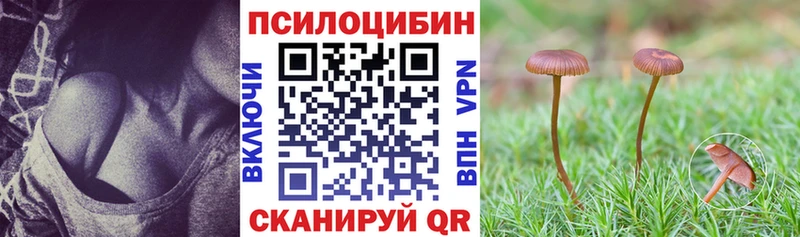 Псилоцибиновые грибы GOLDEN TEACHER shop состав Краснознаменск закладки ОМГ ОМГ ССЫЛКА