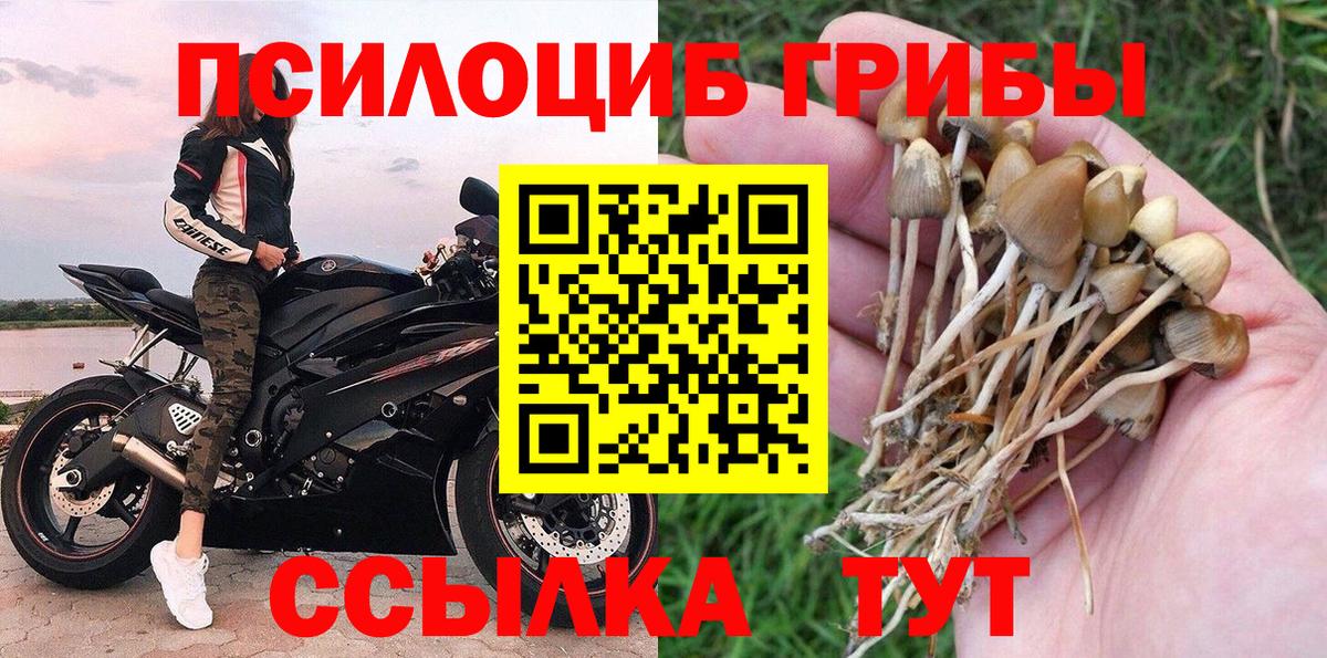 Псилоцибиновые грибы мицелий  Вход с VPN  Псилоцибиновые грибы мухоморы  Краснознаменск 