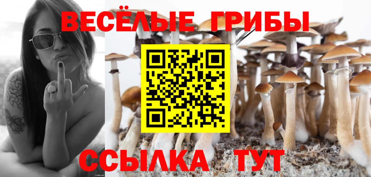 Псилоцибиновые грибы мицелий Краснознаменск